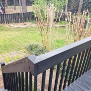 201-stone-hedge-backyard