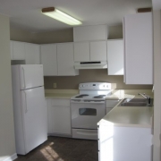 2318_huntsbridge_kitchen