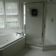 master bath tub & shower